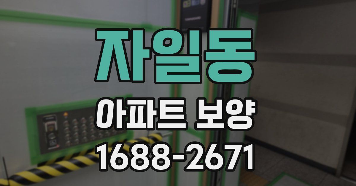 자일동 아파트 보양
