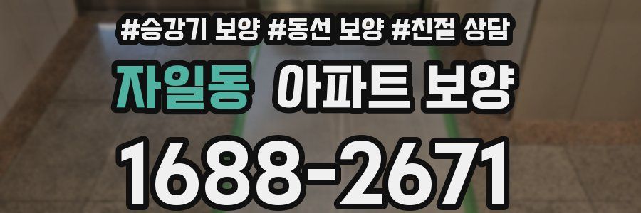 자일동 아파트 보양