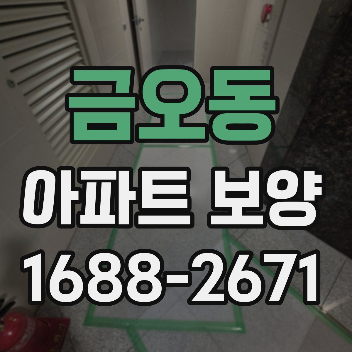 금오동 아파트 보양