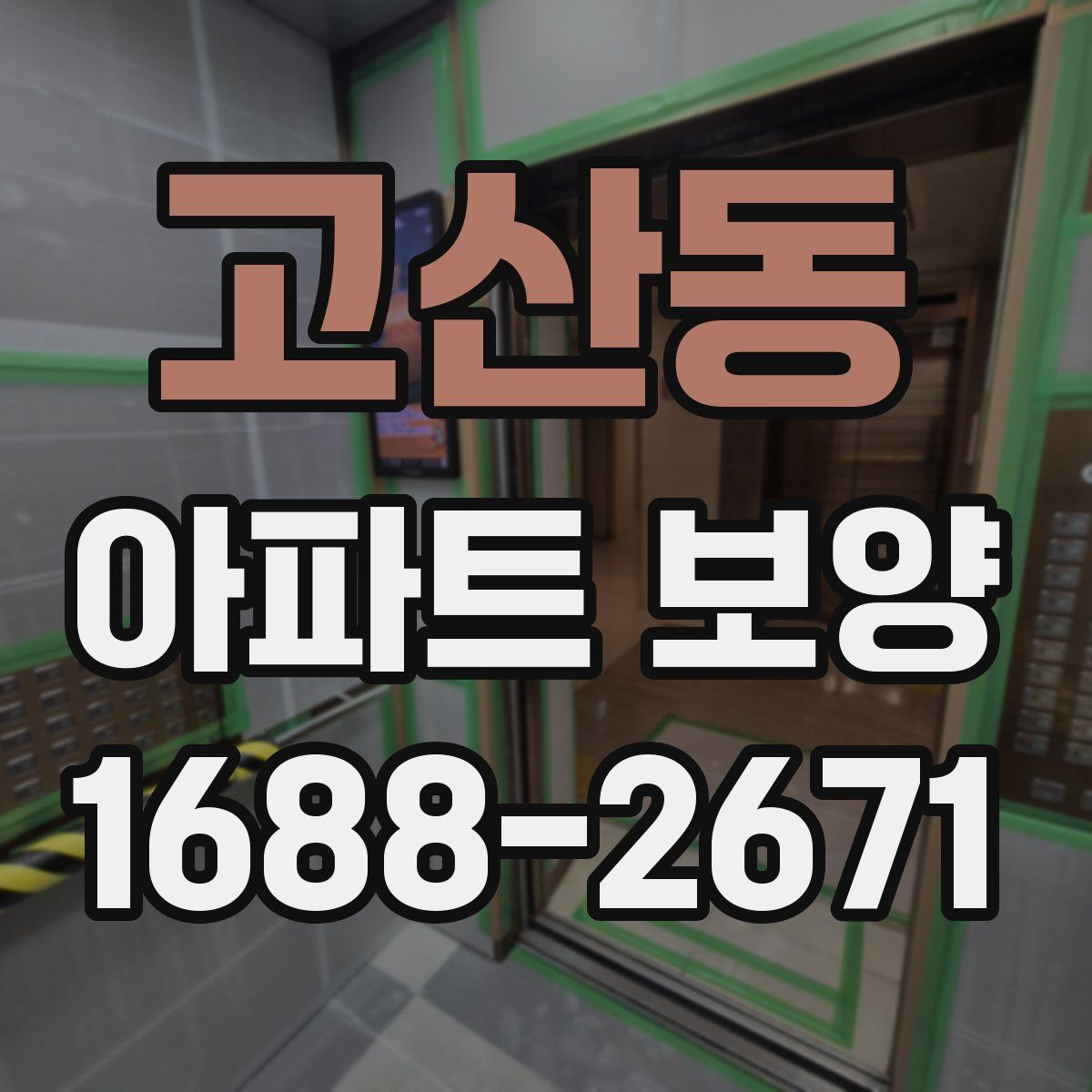 고산동 아파트 보양