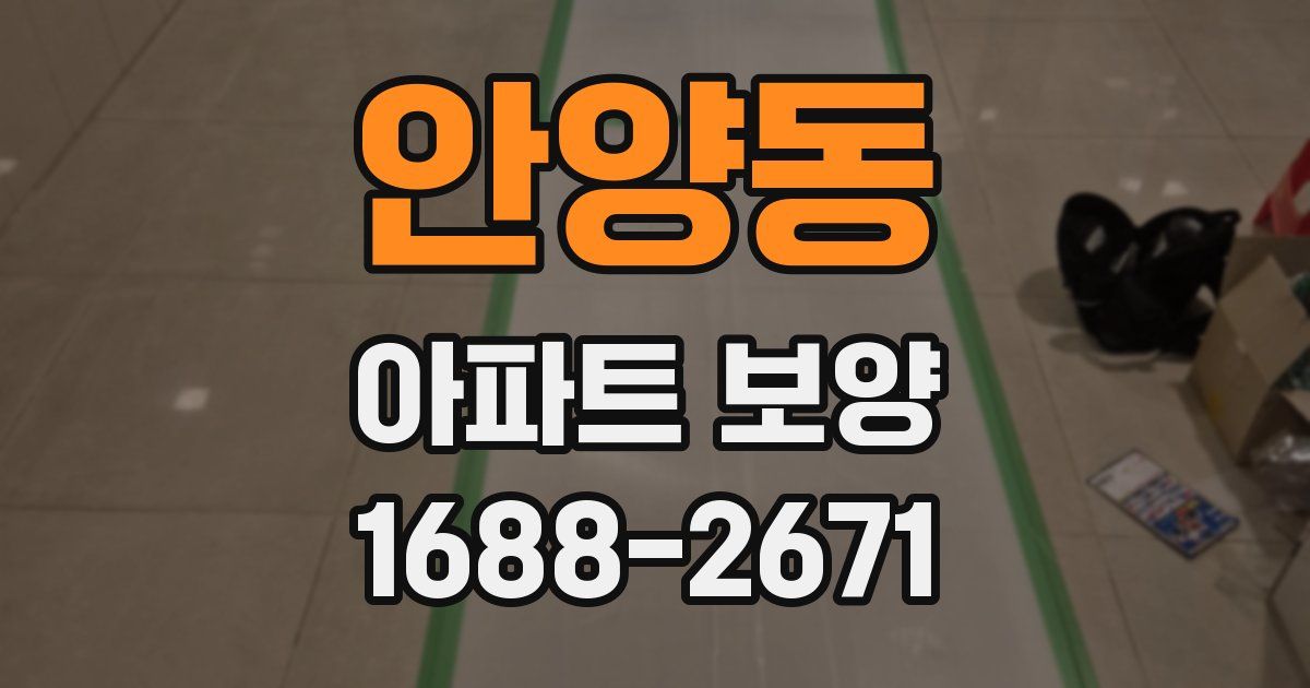 안양동 아파트 보양