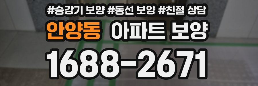안양동 아파트 보양