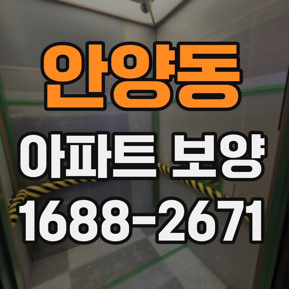 안양동 아파트 보양