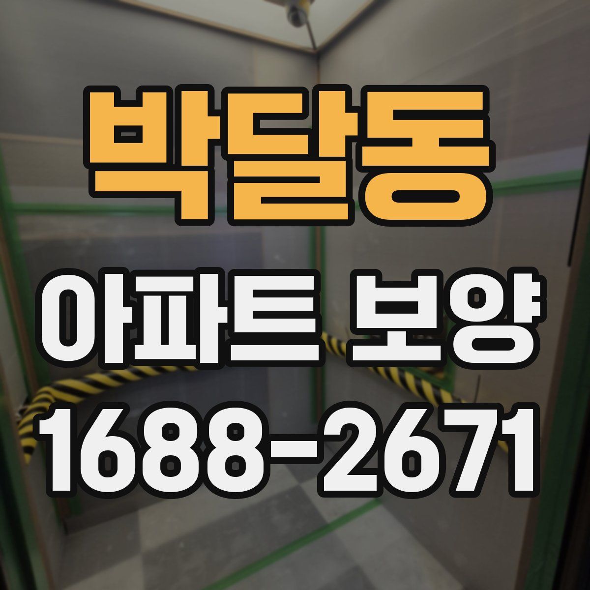 박달동 아파트 보양