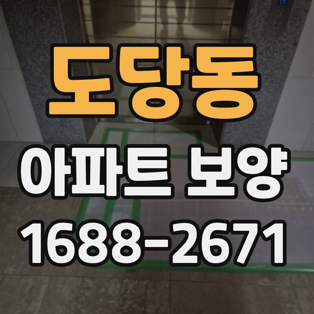 도당동 아파트 보양