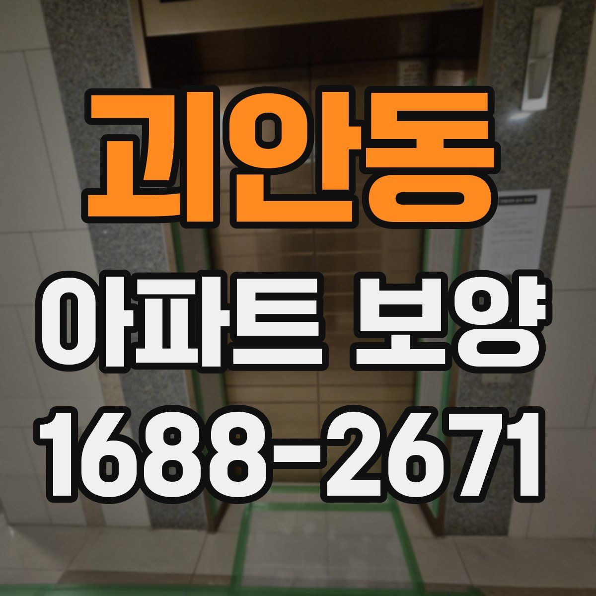 괴안동 아파트 보양
