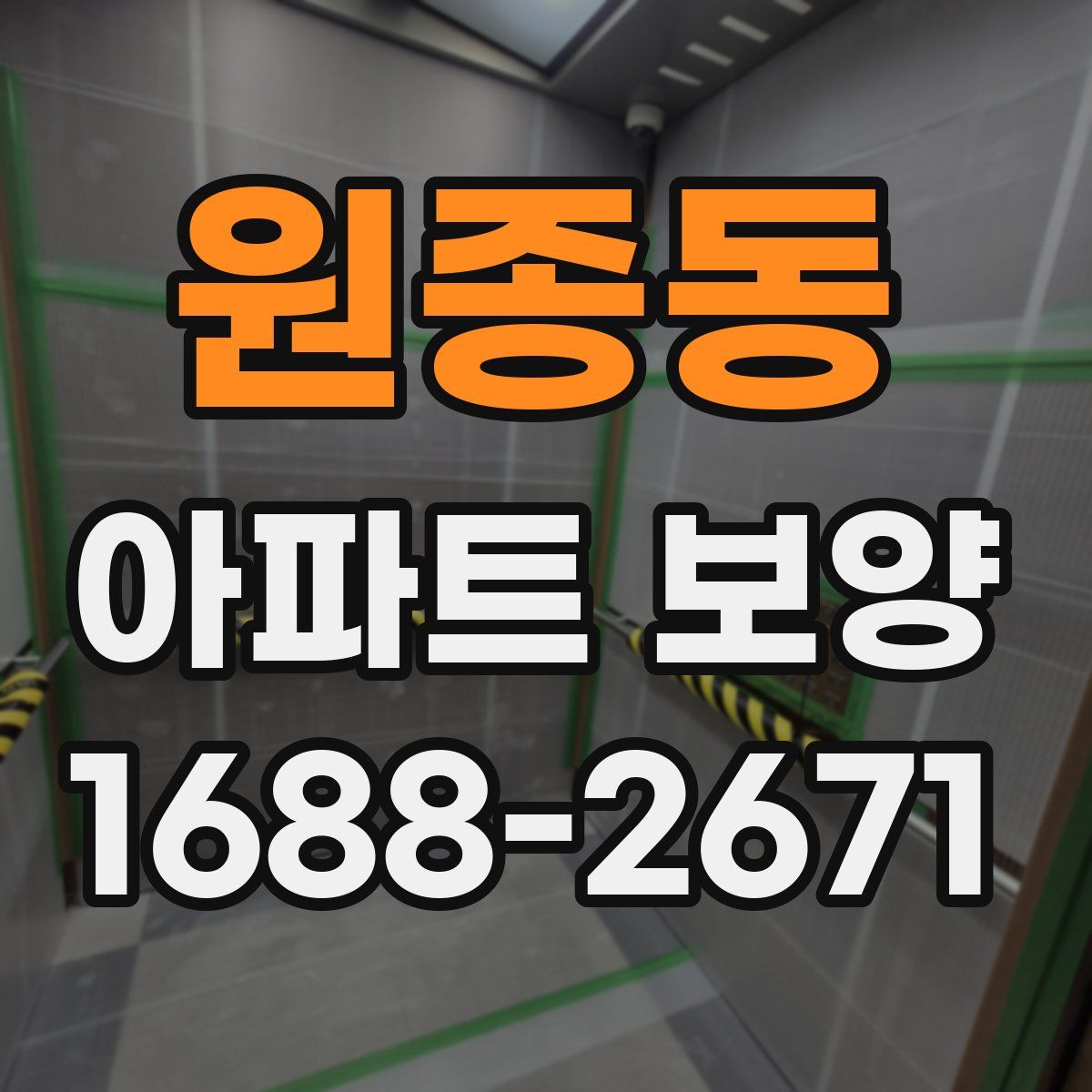 원종동 아파트 보양