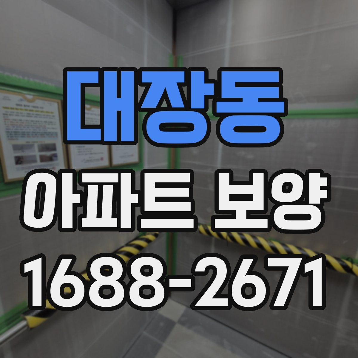 대장동 아파트 보양