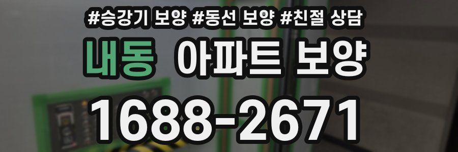 내동 아파트 보양