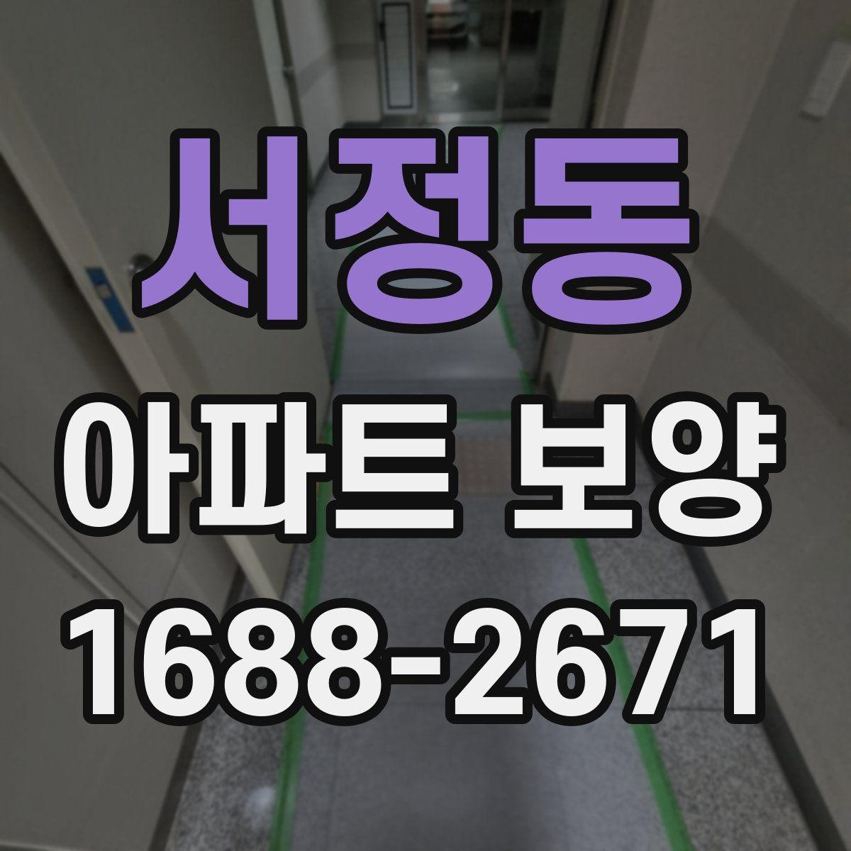 서정동 아파트 보양