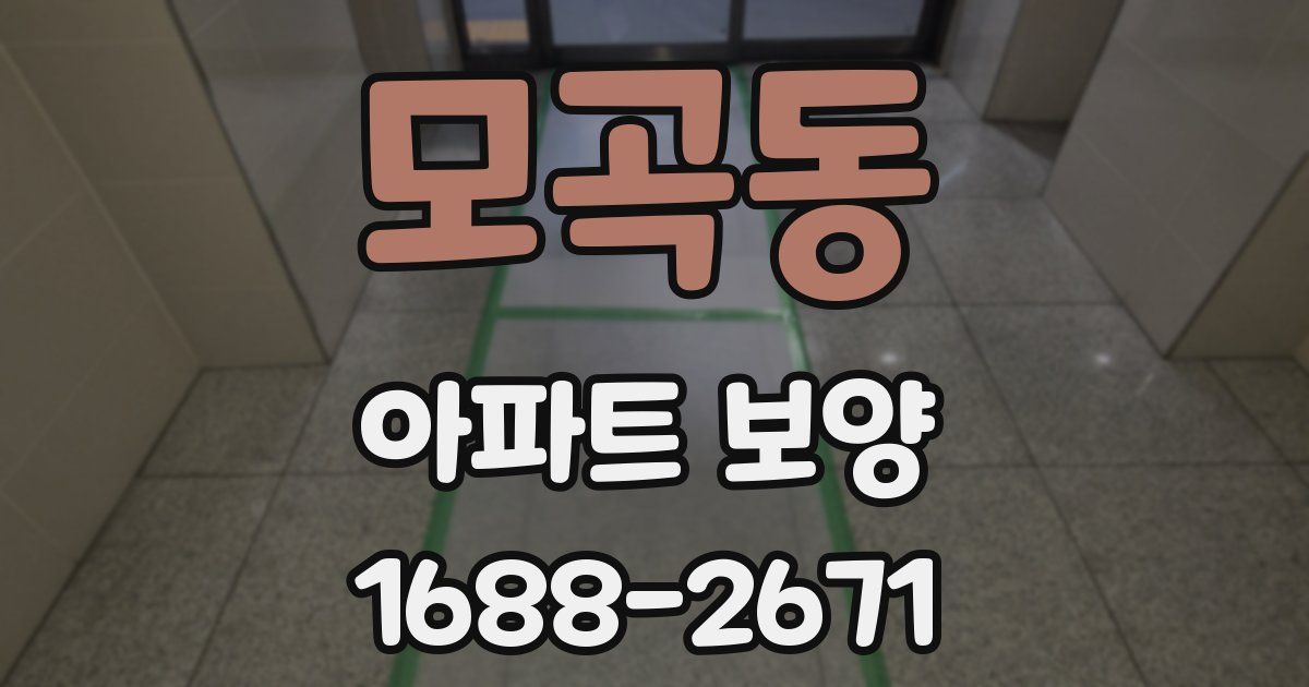 모곡동 아파트 보양