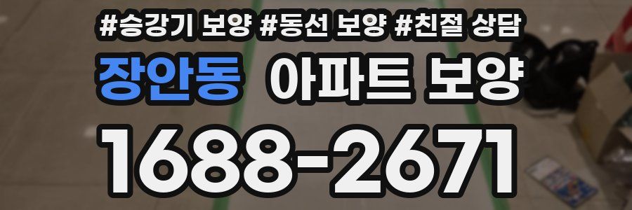 장안동 아파트 보양