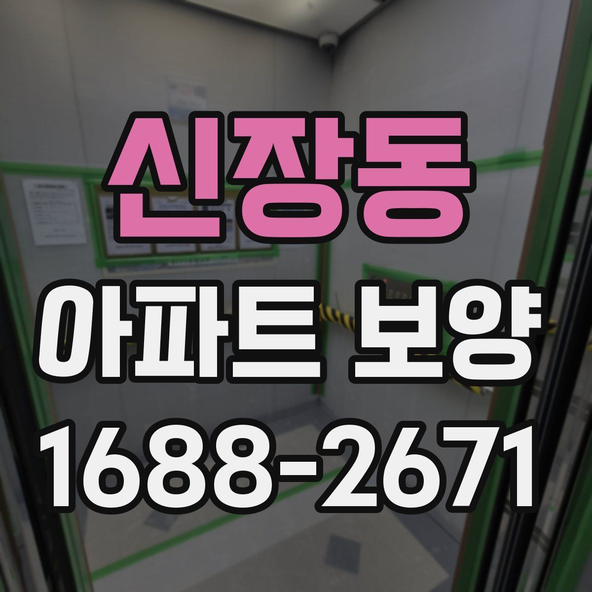 신장동 아파트 보양