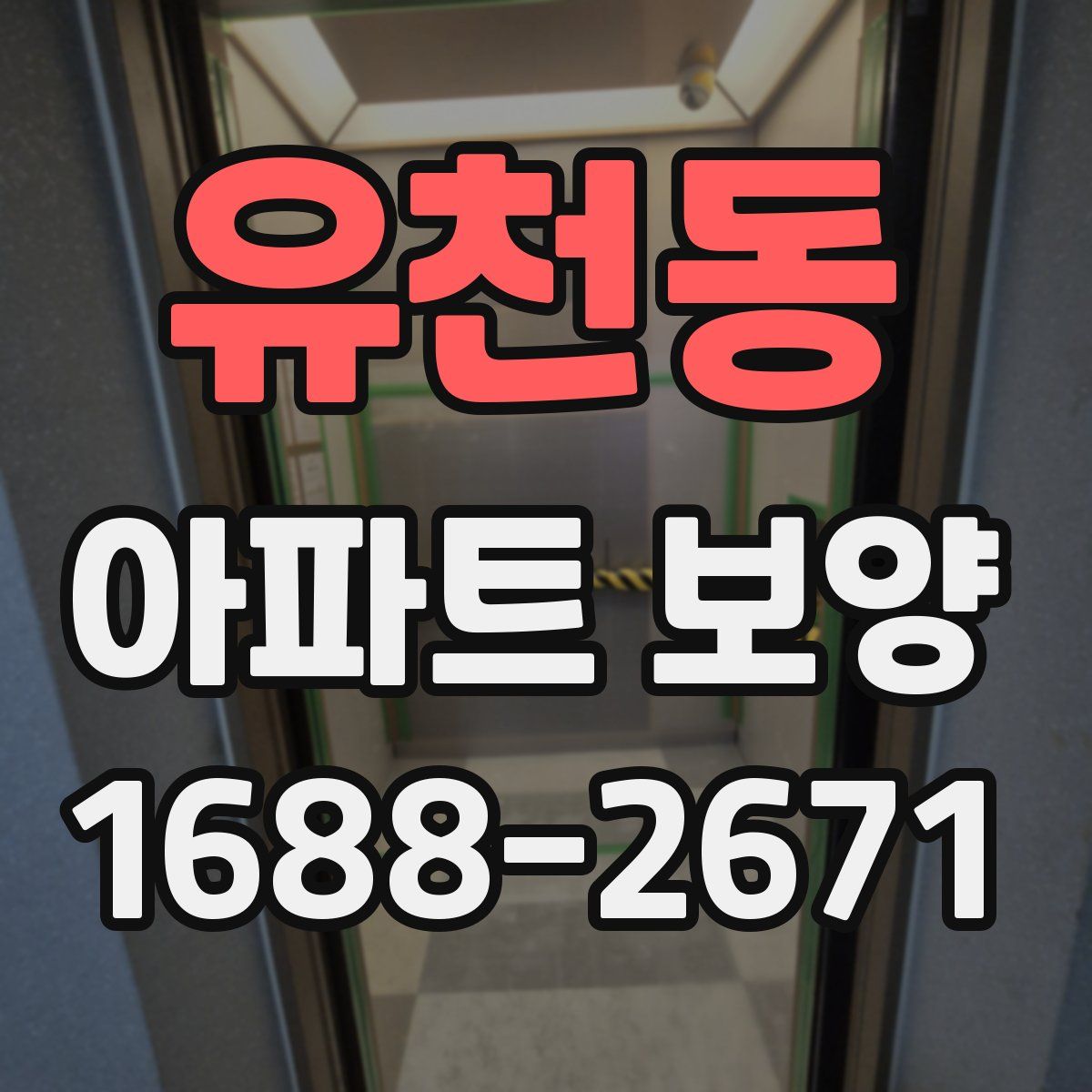 유천동 아파트 보양