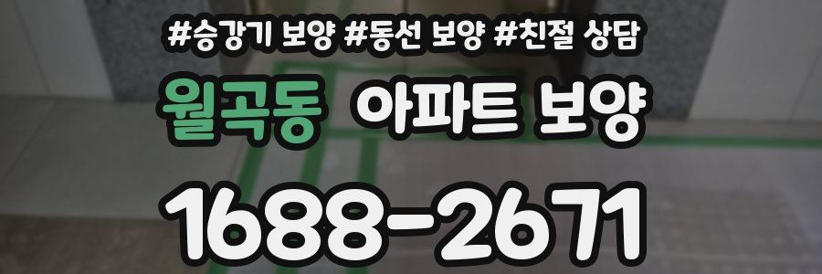 월곡동 아파트 보양