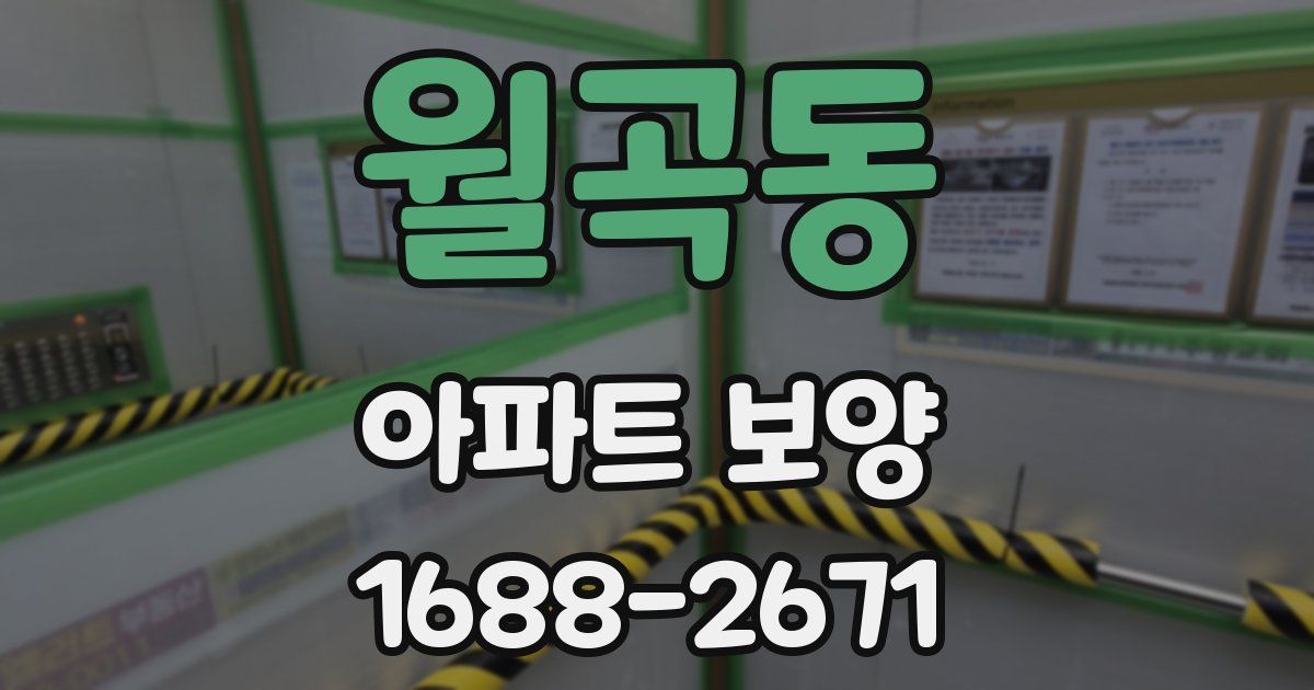 월곡동 아파트 보양