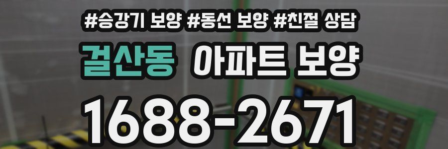 걸산동 아파트 보양