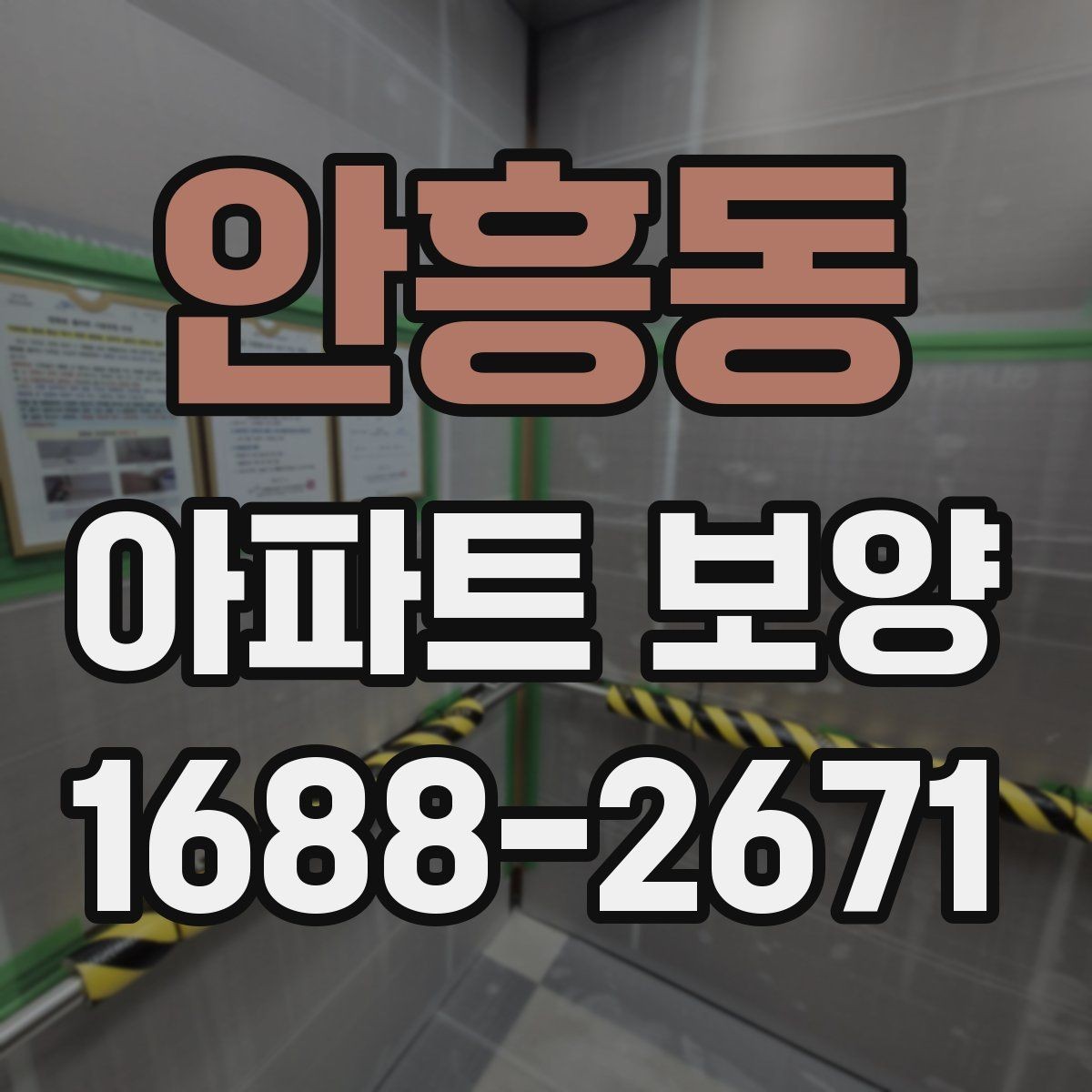 안흥동 아파트 보양 공사 전후로 비교해보는 관리 포인트