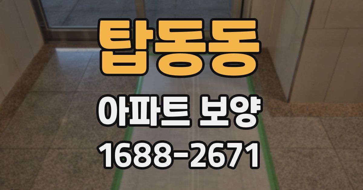 탑동동 아파트 보양