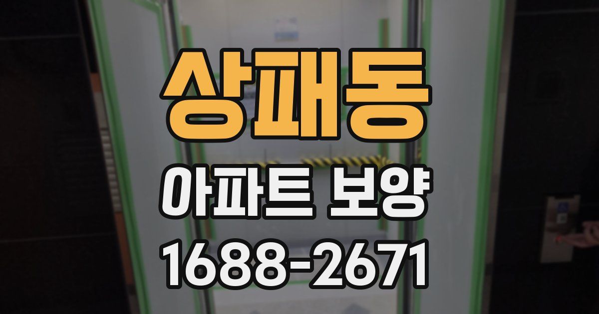 상패동 아파트 보양