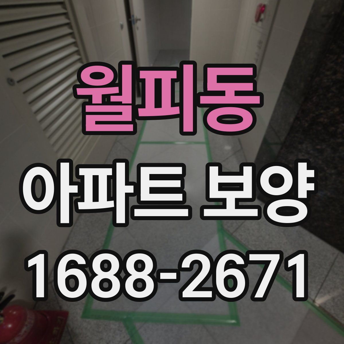 월피동 아파트 보양
