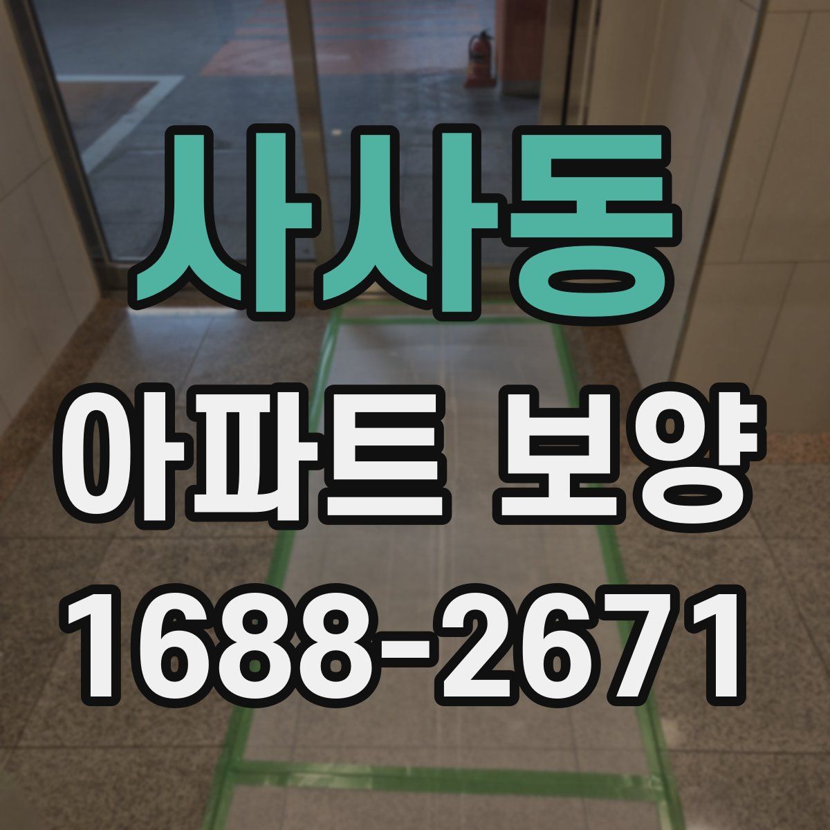 사사동 아파트 보양