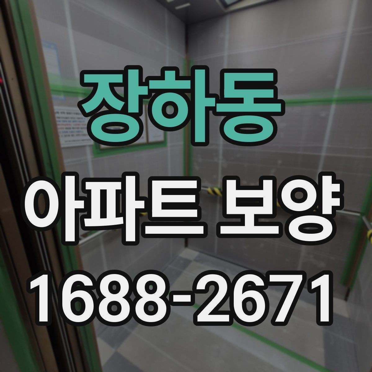 장하동 아파트 보양 벽면 손상 줄이는 관리 포인트