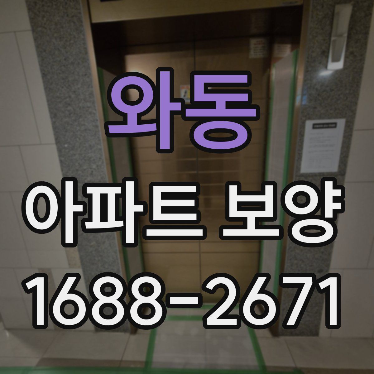 와동 아파트 보양