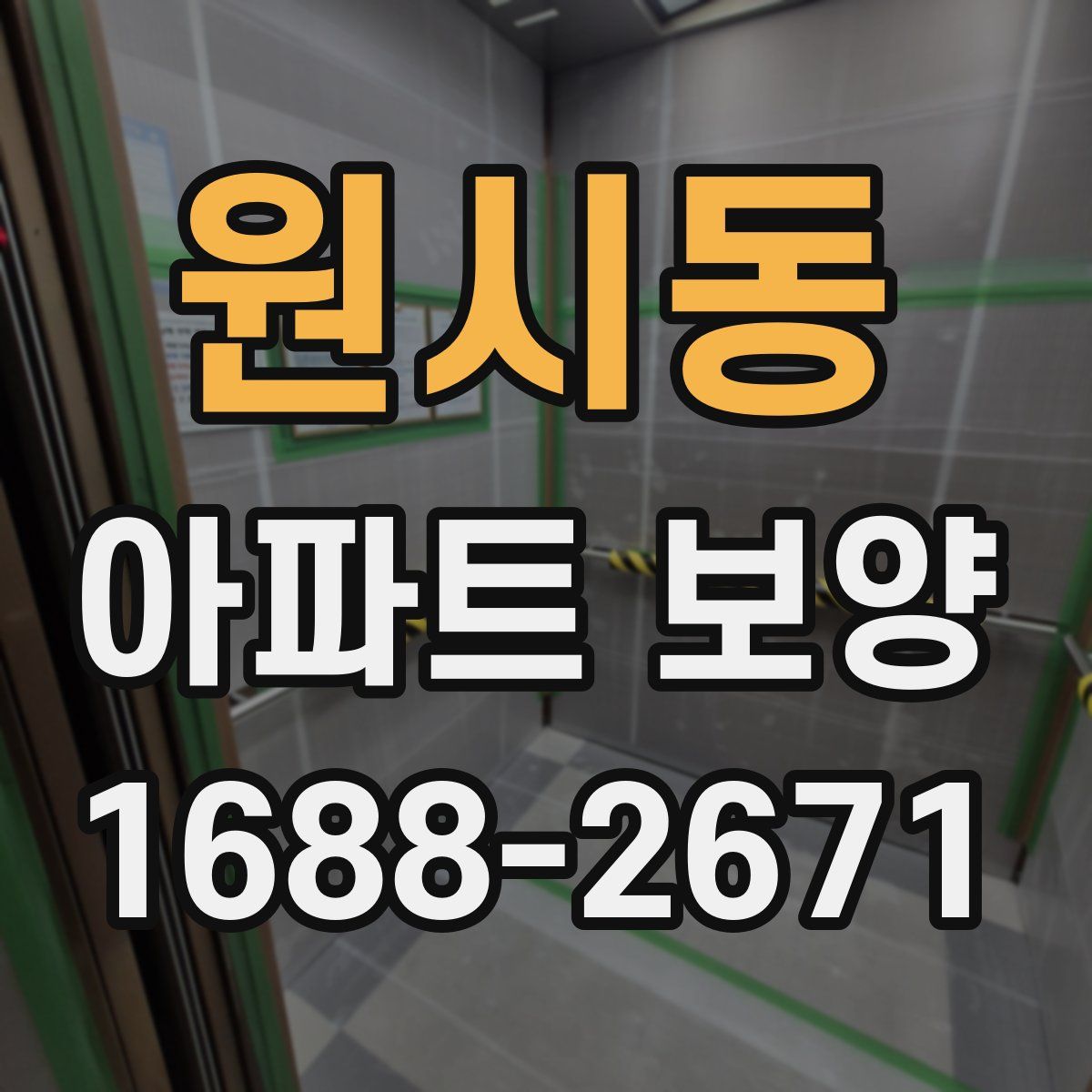 원시동 아파트 보양
