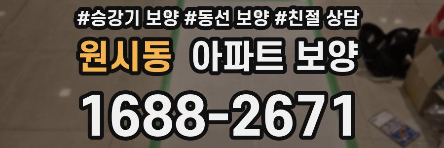 원시동 아파트 보양
