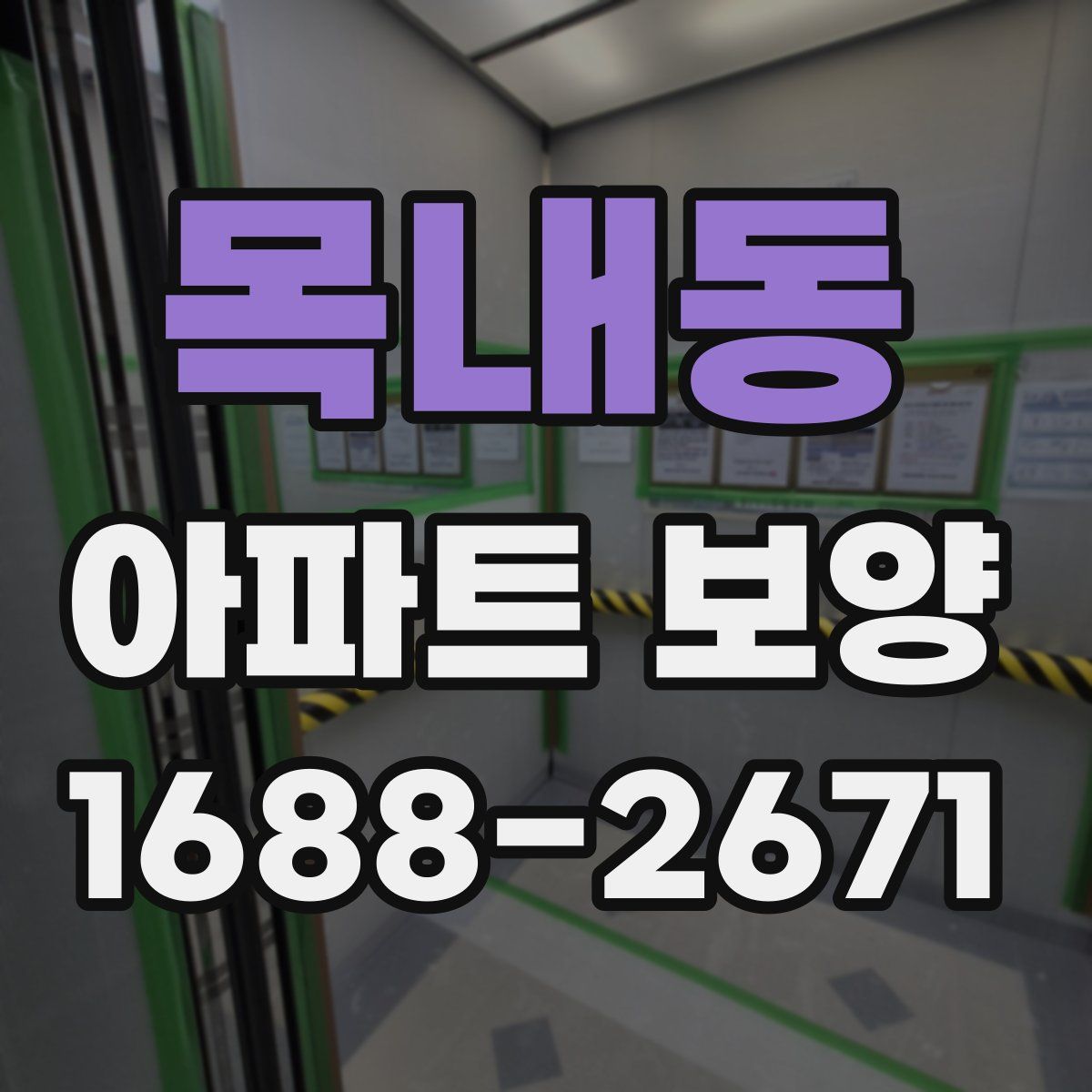 목내동 아파트 보양