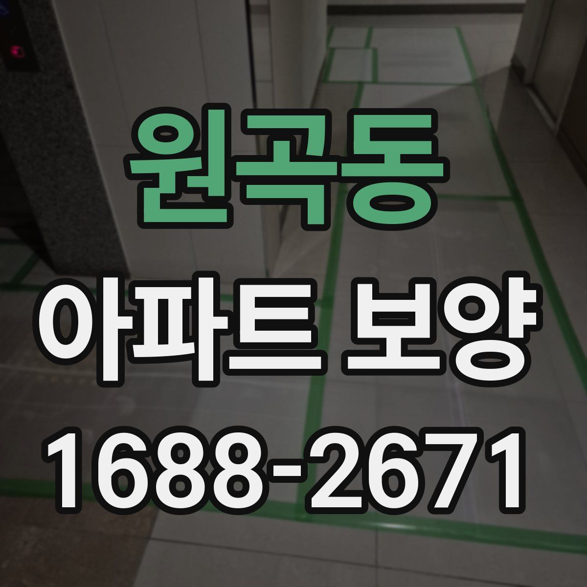 원곡동 아파트 보양