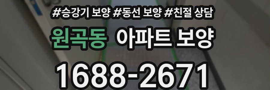 원곡동 아파트 보양