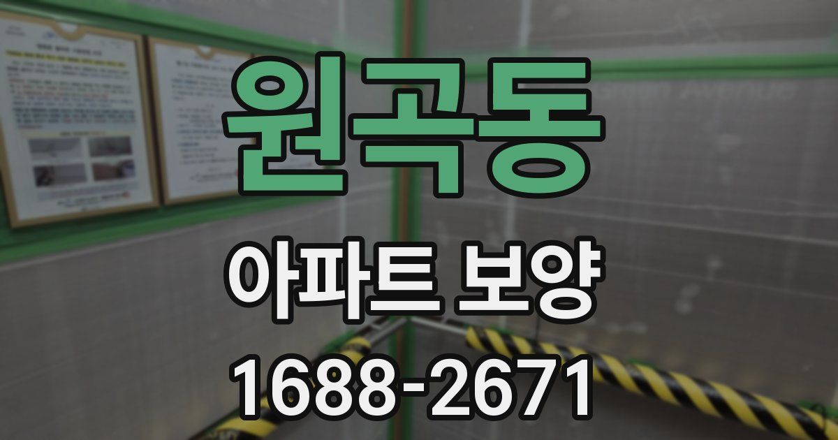 원곡동 아파트 보양