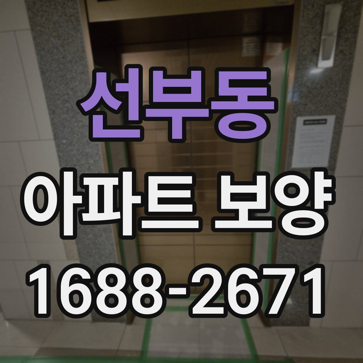 선부동 아파트 보양