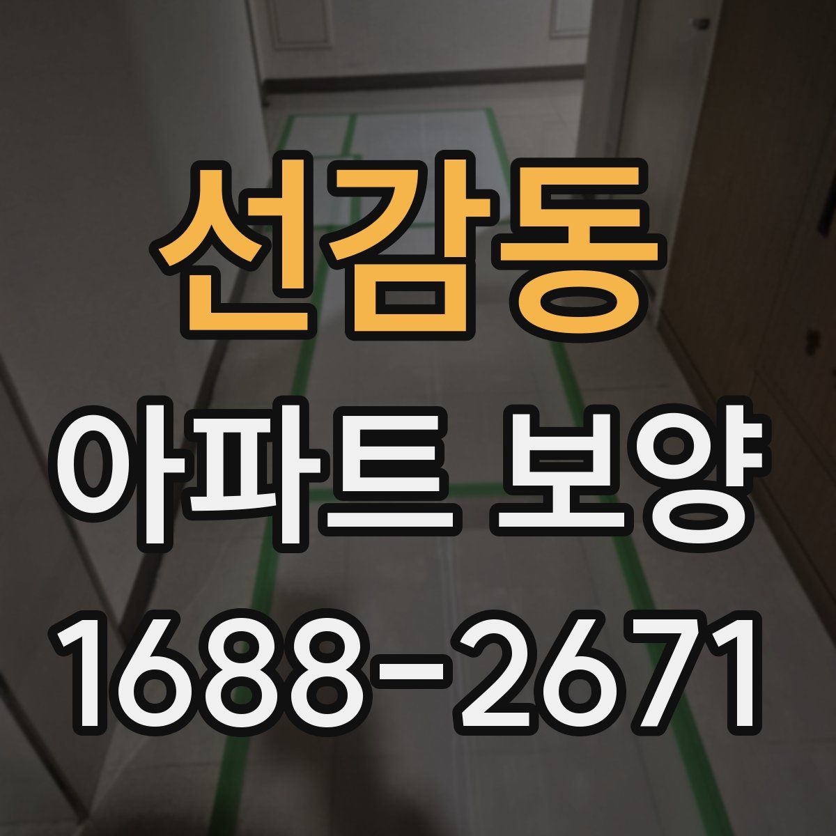 선감동 아파트 보양