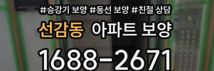 선감동 아파트 보양