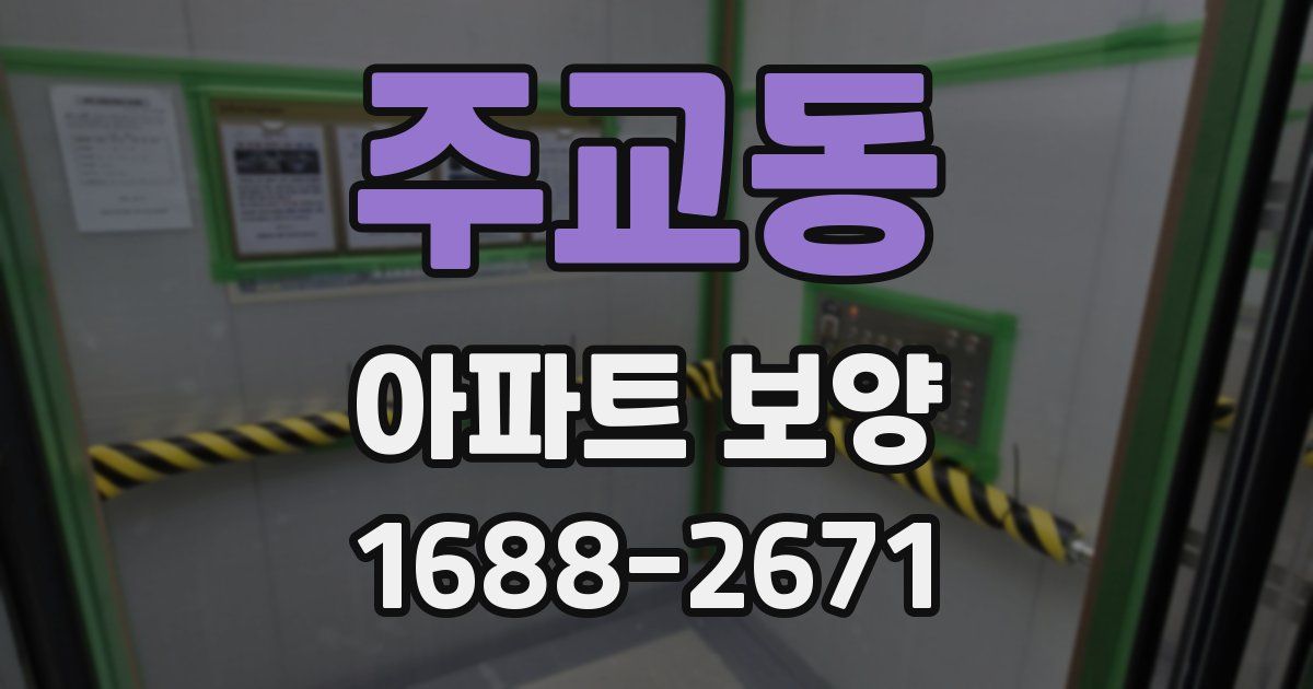 주교동 아파트 보양