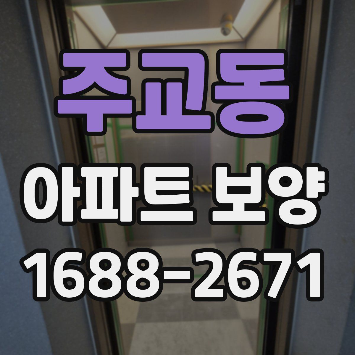 주교동 아파트 보양