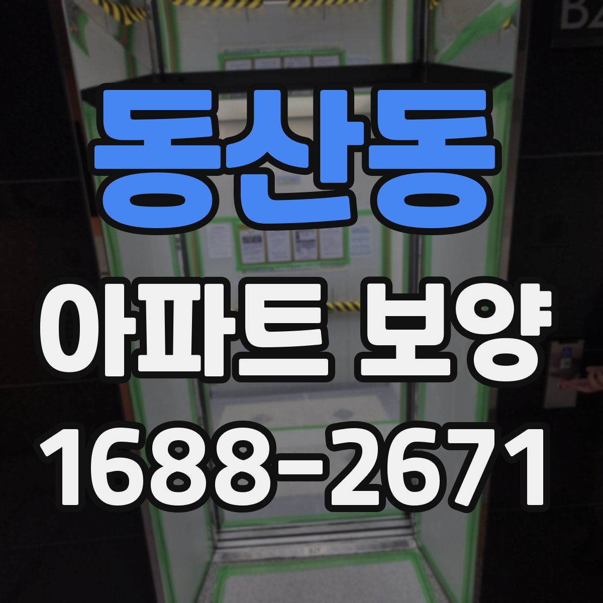 동산동 아파트 보양