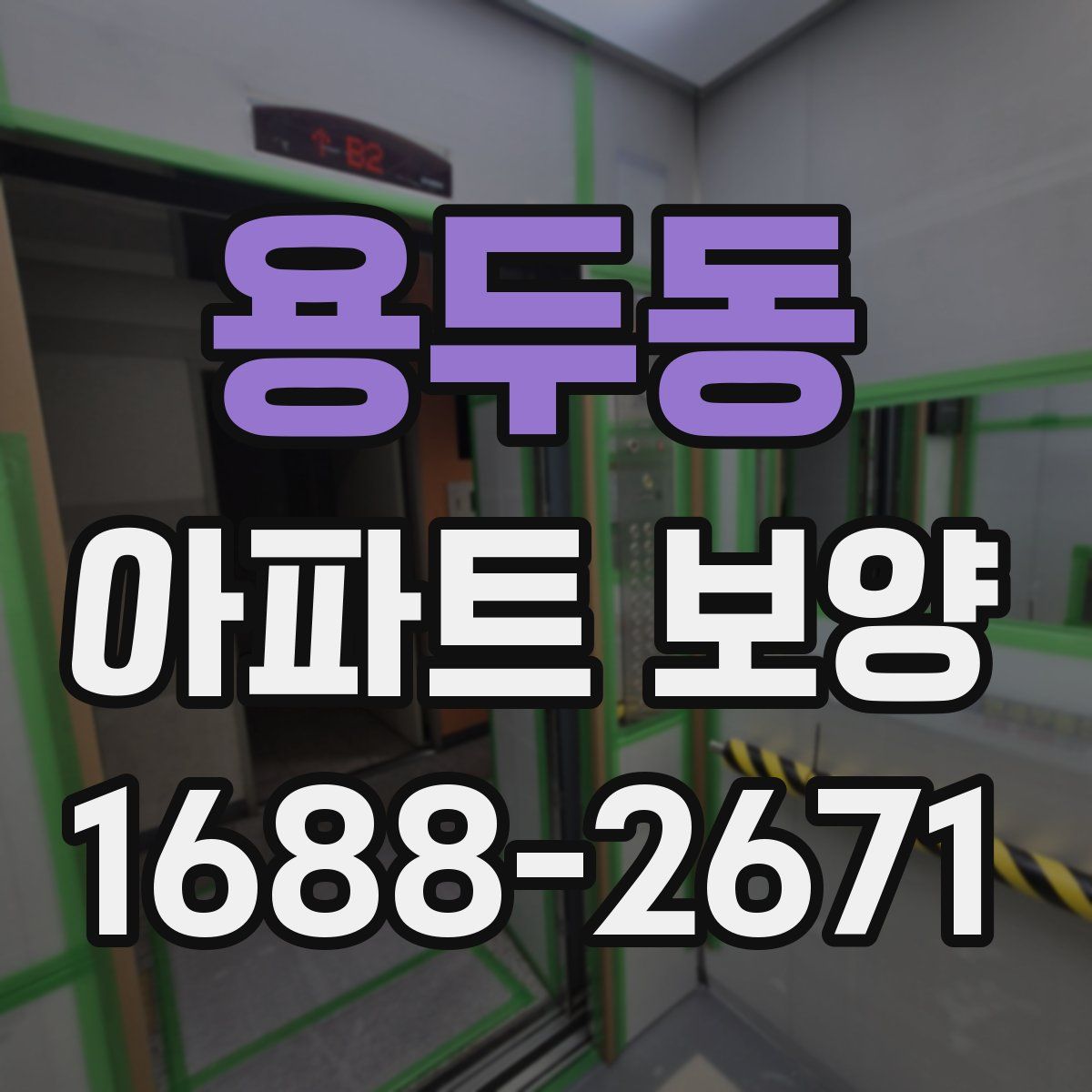 용두동 아파트 보양