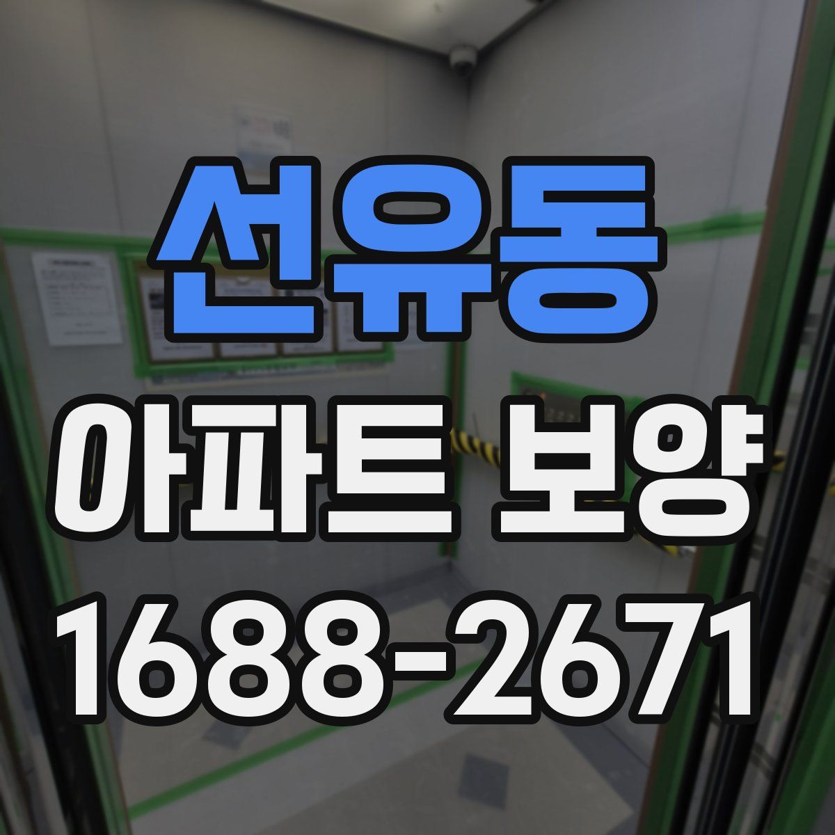 선유동 아파트 보양