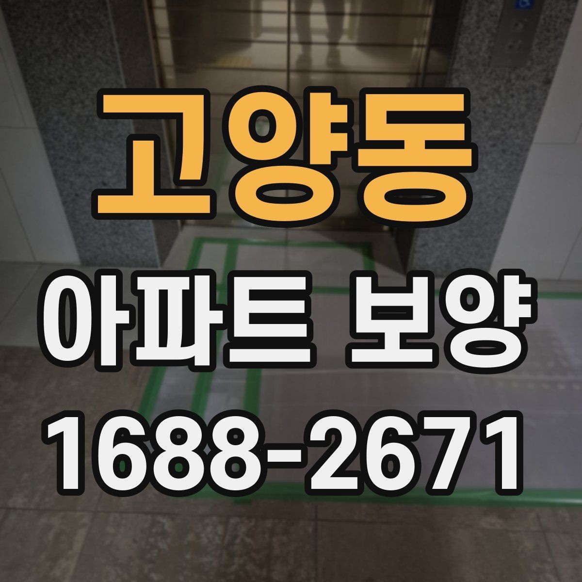 고양동 아파트 보양 범위는 어디까지 필요한가