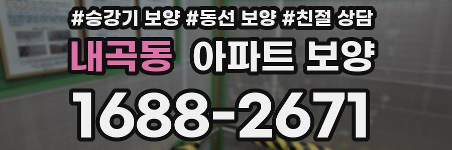 내곡동 아파트 보양