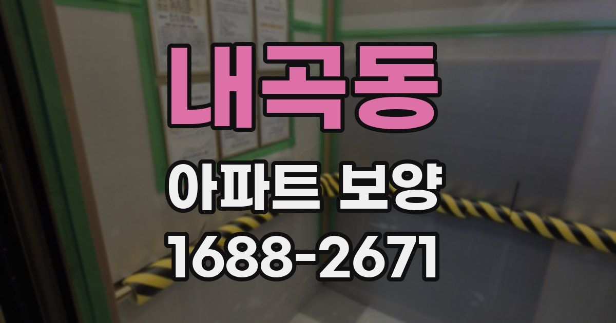 내곡동 아파트 보양