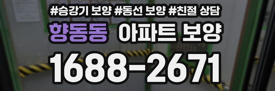 향동동 아파트 보양