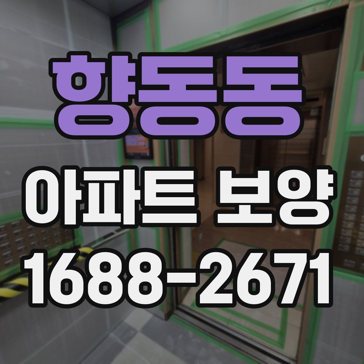향동동 아파트 보양