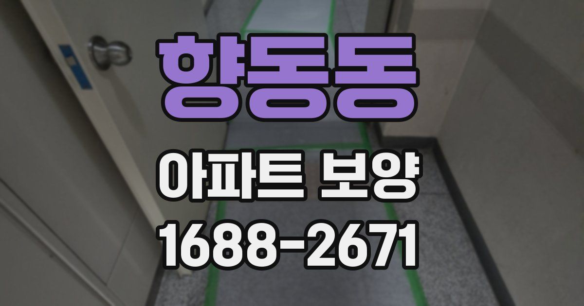 향동동 아파트 보양