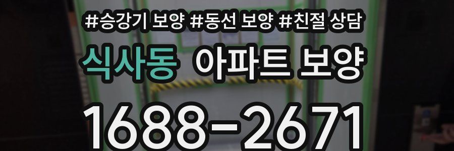 식사동 아파트 보양