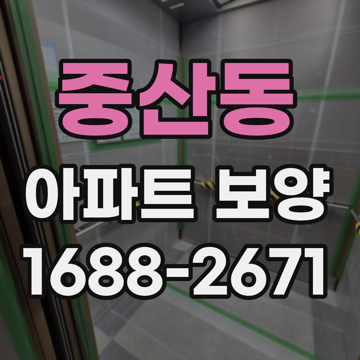 중산동 아파트 보양